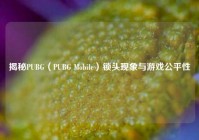 揭秘PUBG（PUBG Mobile）锁头现象与游戏公平性