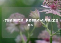 cf手游极速版吃鸡，快节奏竞技体验与模式位置解析
