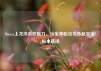 Steam上龙珠游戏魅力、玩家体验及龙珠超宇宙2版本选择