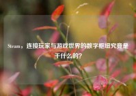 Steam，连接玩家与游戏世界的数字枢纽究竟是干什么的？