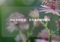 PUBG平民皮肤，平凡里的独特魅力