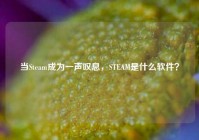当Steam成为一声叹息，STEAM是什么软件？