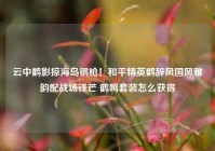 云中鹤影掠海岛钢枪！和平精英鹤辞风国风雅韵配战场锋芒 鹤鸣套装怎么获得