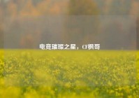 电竞璀璨之星，CF枫哥