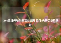 CSGO线性光轴制霸精准战场 实用x光开启技巧速看！