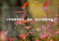 CF手游删号操作，缘由、方法与后果考量
