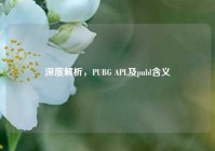 深度解析，PUBG APL及publ含义