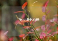 与Bot共赴中之战场