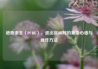 绝地求生（PUBG），退出房间时的复杂心绪与操作方法