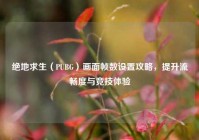 绝地求生（PUBG）画面帧数设置攻略，提升流畅度与竞技体验