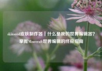 skinseed皮肤制作器｜什么是我的世界编辑器？掌握Minecraft世界编辑的终极指南