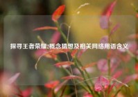 探寻王者荣耀2概念猜想及相关网络用语含义