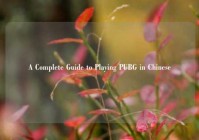 A Complete Guide to Playing PUBG in Chinese