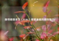 探寻绝地求生（PUBG）绿黑准星的独特魅力