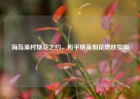 海岛渔村烟花之约，和平精英烟花燃放指南