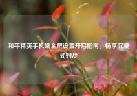 和平精英手机端全屏设置开启指南，畅享沉浸式对战