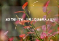 王者荣耀中李白，非凡之姿还是常人之态？