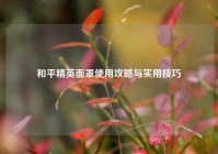 和平精英面罩使用攻略与实用技巧