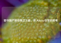 坚守国产游戏独立之路，拒入Steam引发的思考