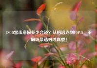 CSGO雷击磨损多少合适？从格洛克到USP-S，不同场景选对才真香！