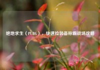 绝地求生（PUBG），快速捡装备称霸战场攻略