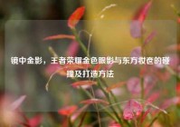 镜中金影，王者荣耀金色眼影与东方妆奁的碰撞及打造方法