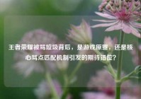 王者荣耀被骂垃圾背后，是游戏原罪，还是核心骂点匹配机制引发的期待错位？