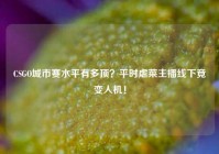 CSGO城市赛水平有多顶？平时虐菜主播线下竟变人机！