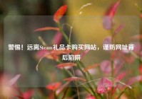 警惕！远离Steam礼品卡购买网站，谨防网址背后陷阱