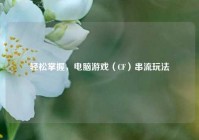 轻松掌握，电脑游戏（CF）串流玩法