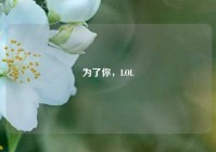 为了你，LOL