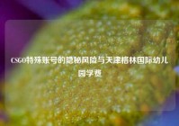CSGO特殊账号的隐秘风险与天津格林国际幼儿园学费