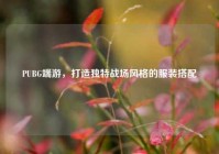 PUBG端游，打造独特战场风格的服装搭配