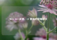 WCG 2013 决赛，CF 赛场的荣耀战火