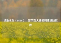 绝地求生（PUBG），新手到大神的训练进阶教程