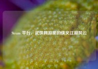 Steam 平台，武侠网游里的侠义江湖风云