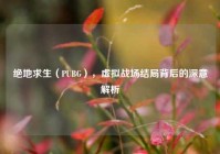 绝地求生（PUBG），虚拟战场结局背后的深意解析
