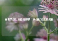 王者荣耀女主播娜娜莉，峡谷璀璨之星揭秘