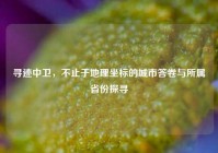 寻迹中卫，不止于地理坐标的城市答卷与所属省份探寻