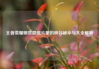 王者荣耀明世隐图片里的峡谷秘辛与大全解析
