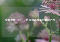 穿越火线（CF），迈向狙击精英的教程之路