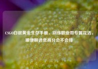 CSGO白银黄金生存手册，别练职业哥专属花活，顺便聊透低高分会不会排