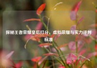 探秘王者荣耀皇后打分，虚拟荣耀与实力评判标准