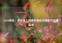 CSGO绿岩，竞技场上的独特存在及绿宝石名称探寻
