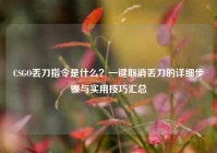 CSGO丢刀指令是什么？一键取消丢刀的详细步骤与实用技巧汇总
