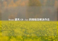 Steam 遗失 CD - key 的烦恼及解决办法
