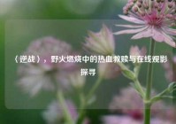 〈逆战〉，野火燃烧中的热血救赎与在线观影探寻