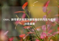 CSGO，探寻更改背景为璀璨星空的方法与虚拟诗意浪漫