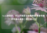 Steam组语音，不止开黑搭子专属频道 更是专属游戏圈小基地｜附位置入口