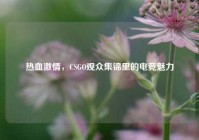热血激情，CSGO观众集锦里的电竞魅力